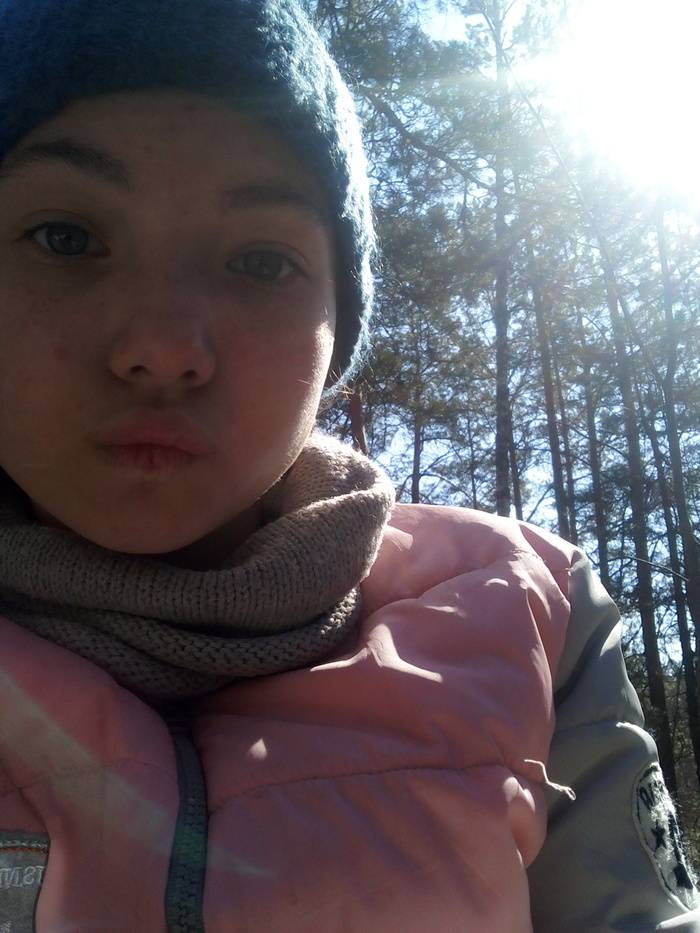 Там где лес