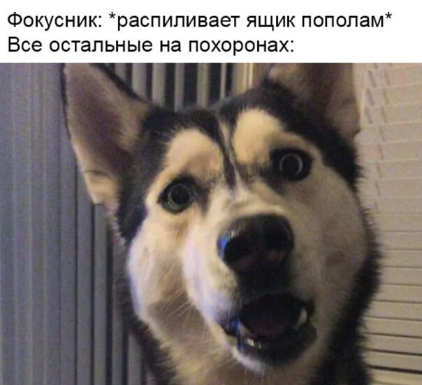 Когда попутал цирк с похоронами: