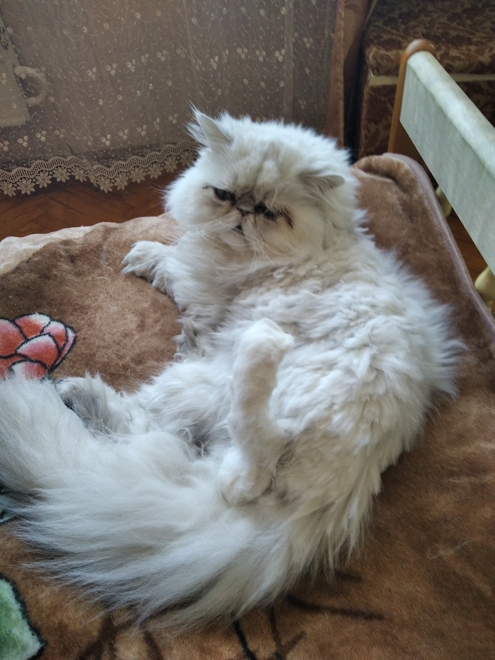 ����� �������� �� ����