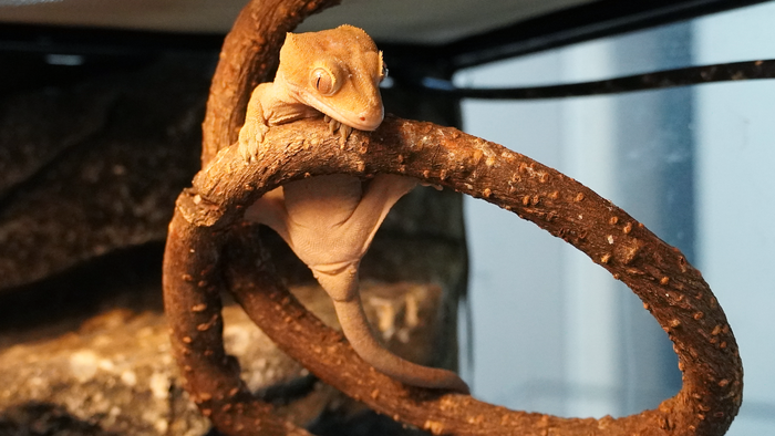 ������� � ������ �������