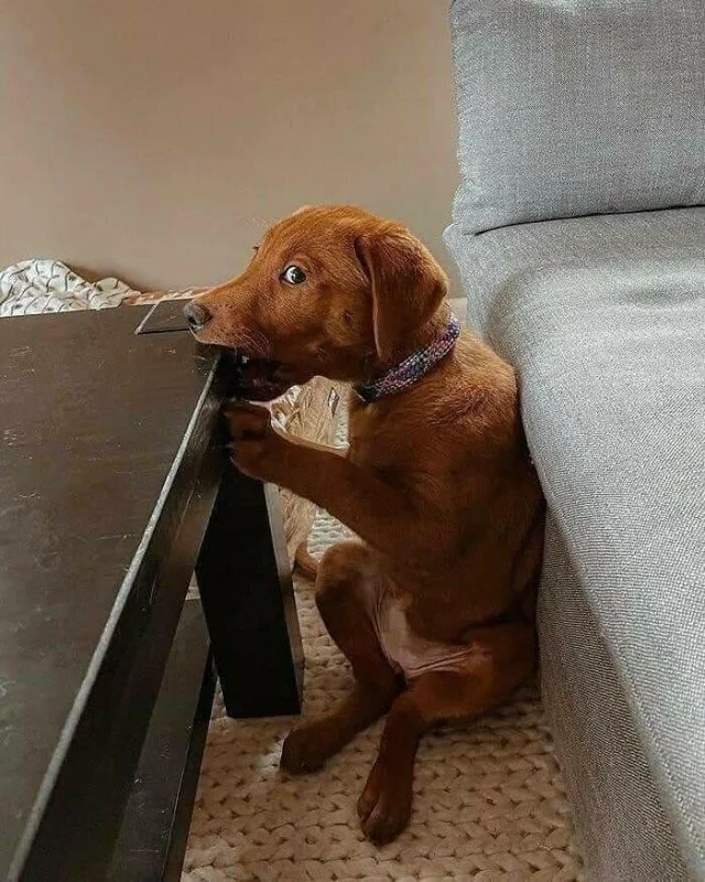   ,  , , , 