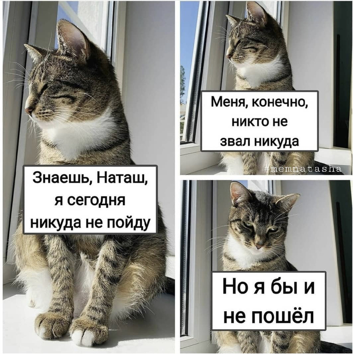 �� ����� � ��������