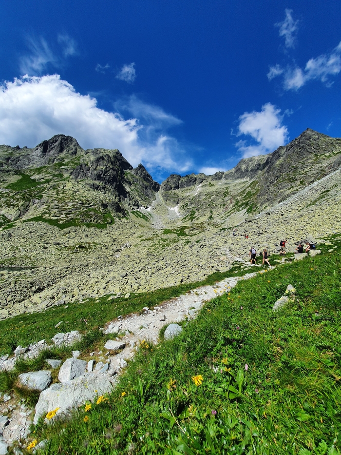 ���� �� ����, ��������