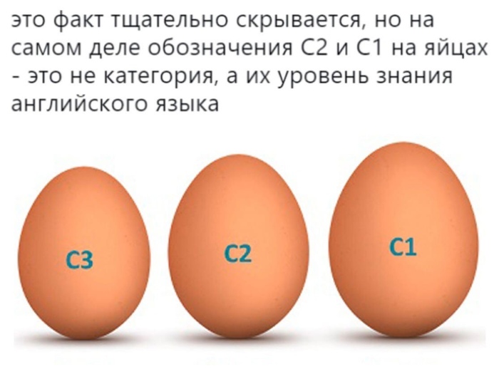 �� ��� ������, ���� �� �� �����