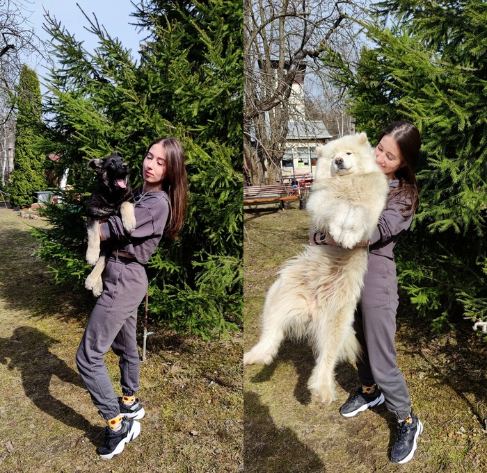 Мечта сбылась