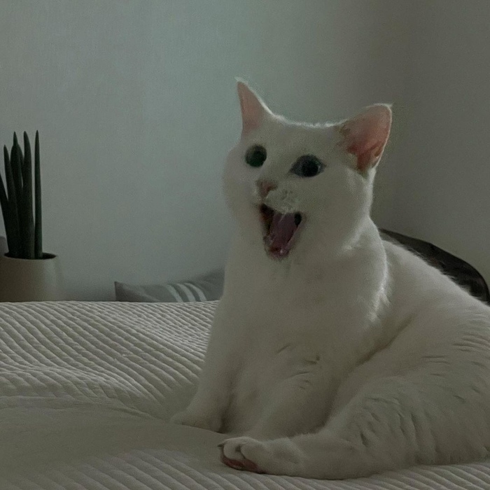 ���� ��� ���?