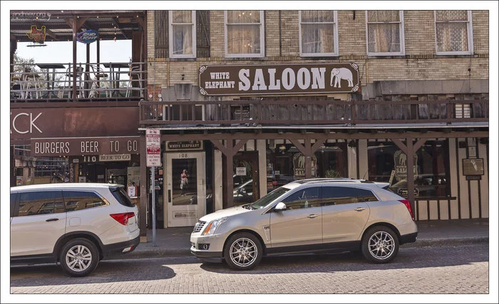 Техас: побыкуем? Техас, США, Корова, Бык, Ковбои, Длиннопост