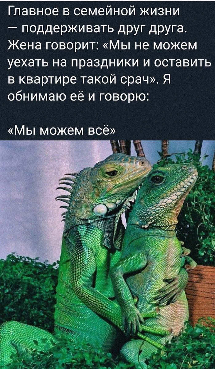   ! , , , ,   