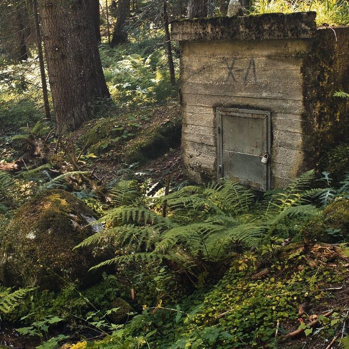 Far Cry реально?