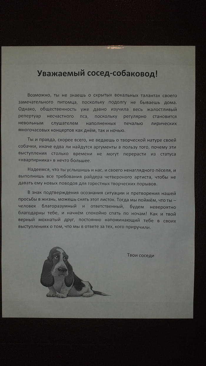 Собаки и люди: истории из жизни, советы, новости, юмор и картинки — Лучшее,  страница 19 | Пикабу