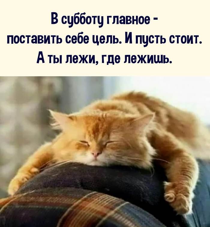 Субботний дзен