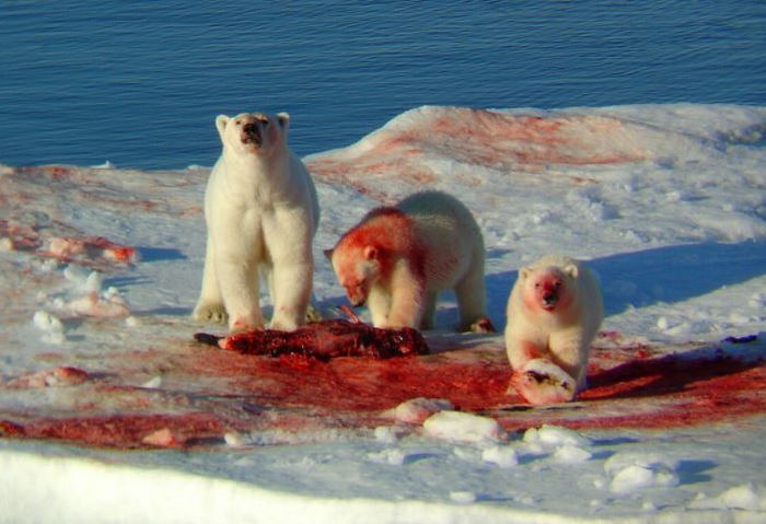 Ρ ΡΠ΅ΠΌ Π΄Π΅Π»Π°ΡΡ ΡΠ°ΡΡΠΌΡ ΠΊΡΠΎΠΌΠ΅ ΠΊΡΡΠΈΡΡ. Π‘ΠΌΠΎΡΡΠ΅ΡΡ ΡΠΎΡΠΎ Ρ ΡΠ΅ΠΌ Π΄Π΅Π»Π°ΡΡ ΡΠ°ΡΡΠΌΡ ΠΊΡΠΎΠΌΠ΅ ΠΊΡΡΠΈΡΡ. Π‘ΠΌΠΎΡΡΠ΅ΡΡ ΠΊΠ°ΡΡΠΈΠ½ΠΊΡ Ρ ΡΠ΅ΠΌ Π΄Π΅Π»Π°ΡΡ ΡΠ°ΡΡΠΌΡ ΠΊΡΠΎΠΌΠ΅ ΠΊΡΡΠΈΡΡ. ΠΠ°ΡΡΠΈΠ½ΠΊΠ° ΠΏΡΠΎ Ρ ΡΠ΅ΠΌ Π΄Π΅Π»Π°ΡΡ ΡΠ°ΡΡΠΌΡ ΠΊΡΠΎΠΌΠ΅ ΠΊΡΡΠΈΡΡ. Π€ΠΎΡΠΎ Ρ ΡΠ΅ΠΌ Π΄Π΅Π»Π°ΡΡ ΡΠ°ΡΡΠΌΡ ΠΊΡΠΎΠΌΠ΅ ΠΊΡΡΠΈΡΡ Ρ ΡΠ΅ΠΌ Π΄Π΅Π»Π°ΡΡ ΡΠ°ΡΡΠΌΡ ΠΊΡΠΎΠΌΠ΅ ΠΊΡΡΠΈΡΡ. Π‘ΠΌΠΎΡΡΠ΅ΡΡ ΡΠΎΡΠΎ Ρ ΡΠ΅ΠΌ Π΄Π΅Π»Π°ΡΡ ΡΠ°ΡΡΠΌΡ ΠΊΡΠΎΠΌΠ΅ ΠΊΡΡΠΈΡΡ. Π‘ΠΌΠΎΡΡΠ΅ΡΡ ΠΊΠ°ΡΡΠΈΠ½ΠΊΡ Ρ ΡΠ΅ΠΌ Π΄Π΅Π»Π°ΡΡ ΡΠ°ΡΡΠΌΡ ΠΊΡΠΎΠΌΠ΅ ΠΊΡΡΠΈΡΡ. ΠΠ°ΡΡΠΈΠ½ΠΊΠ° ΠΏΡΠΎ Ρ ΡΠ΅ΠΌ Π΄Π΅Π»Π°ΡΡ ΡΠ°ΡΡΠΌΡ ΠΊΡΠΎΠΌΠ΅ ΠΊΡΡΠΈΡΡ. Π€ΠΎΡΠΎ Ρ ΡΠ΅ΠΌ Π΄Π΅Π»Π°ΡΡ ΡΠ°ΡΡΠΌΡ ΠΊΡΠΎΠΌΠ΅ ΠΊΡΡΠΈΡΡ
