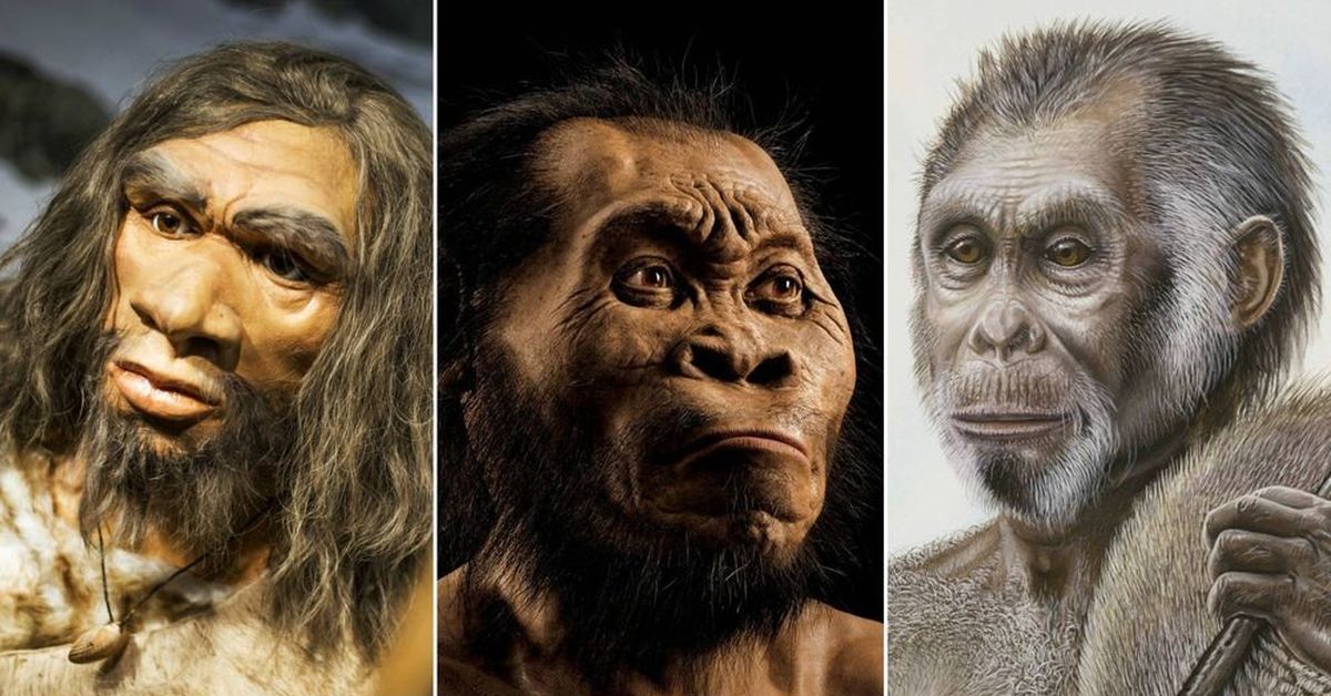 Человек 1 млн лет назад. Эволюция человека. Хомо наледи реконструкция.