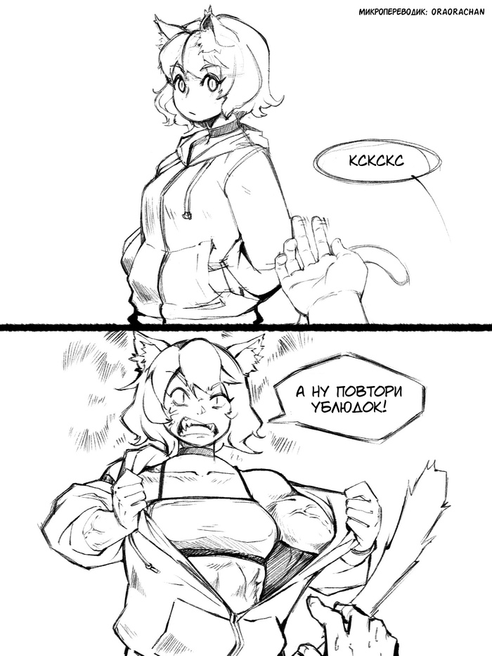  ,      ...            :3