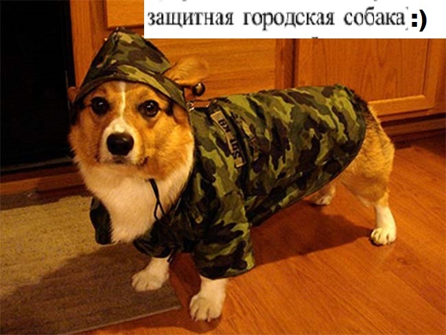 ЗАЩИТНАЯ и есть!:):)