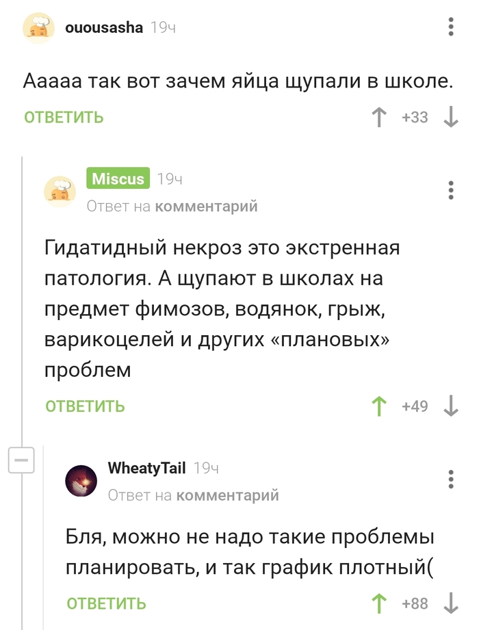 Плотный график
