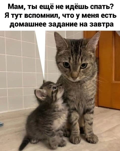 родители называют меня тупой. Смотреть фото родители называют меня тупой. Смотреть картинку родители называют меня тупой. Картинка про родители называют меня тупой. Фото родители называют меня тупой родители называют меня тупой. Смотреть фото родители называют меня тупой. Смотреть картинку родители называют меня тупой. Картинка про родители называют меня тупой. Фото родители называют меня тупой