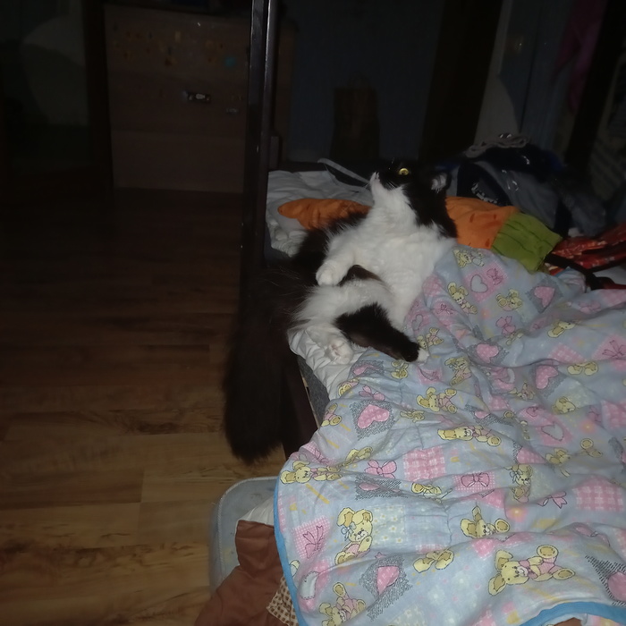 НИЖНЕЕ ХОБА