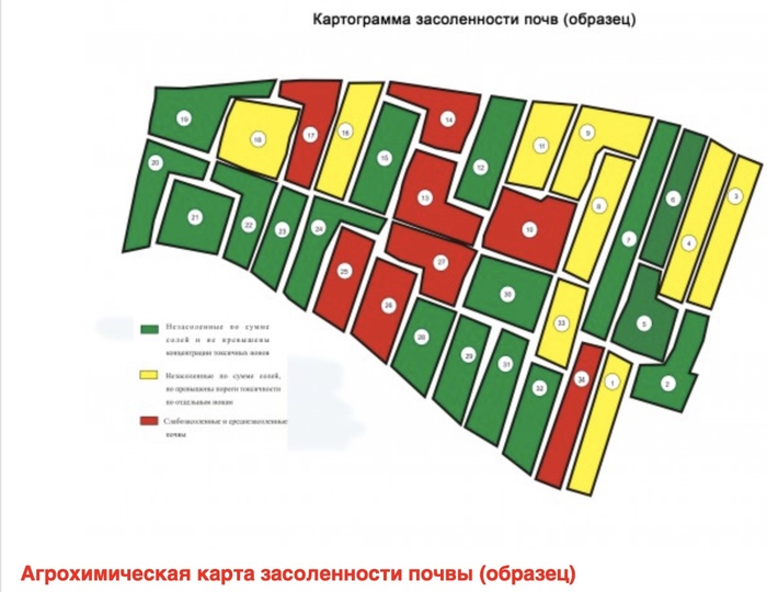 Карта картограммы. Картограмма почв. Агрохимическая картограмма. Почвенные карты и картограммы. Агрохимическая картограмма почв.