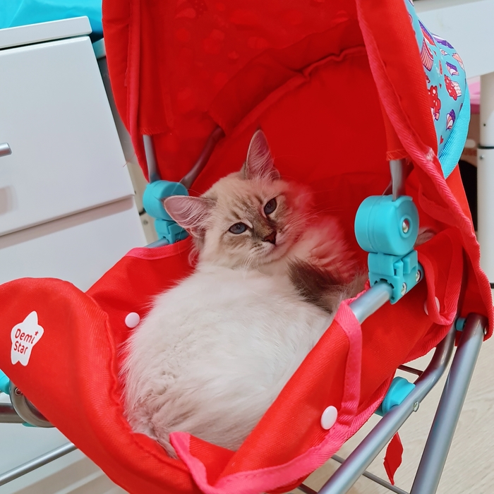 ����� � ������� ��� �����