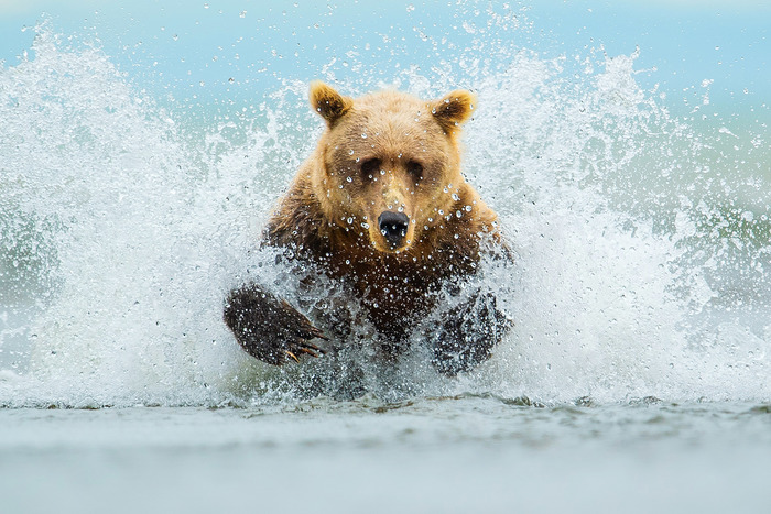 Навстречу судьбе