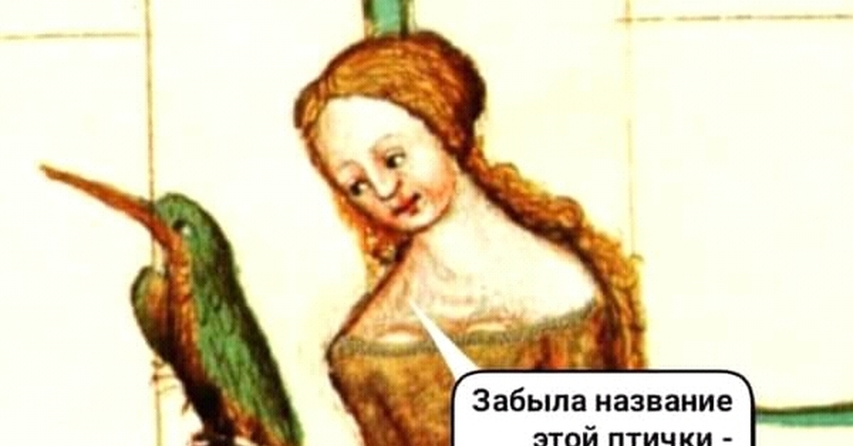 Бердвотчер из вас так себе | Пикабу