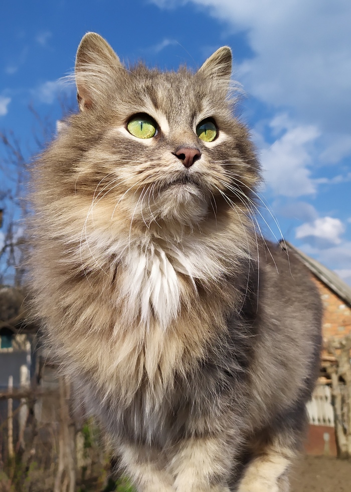 ��������� ���