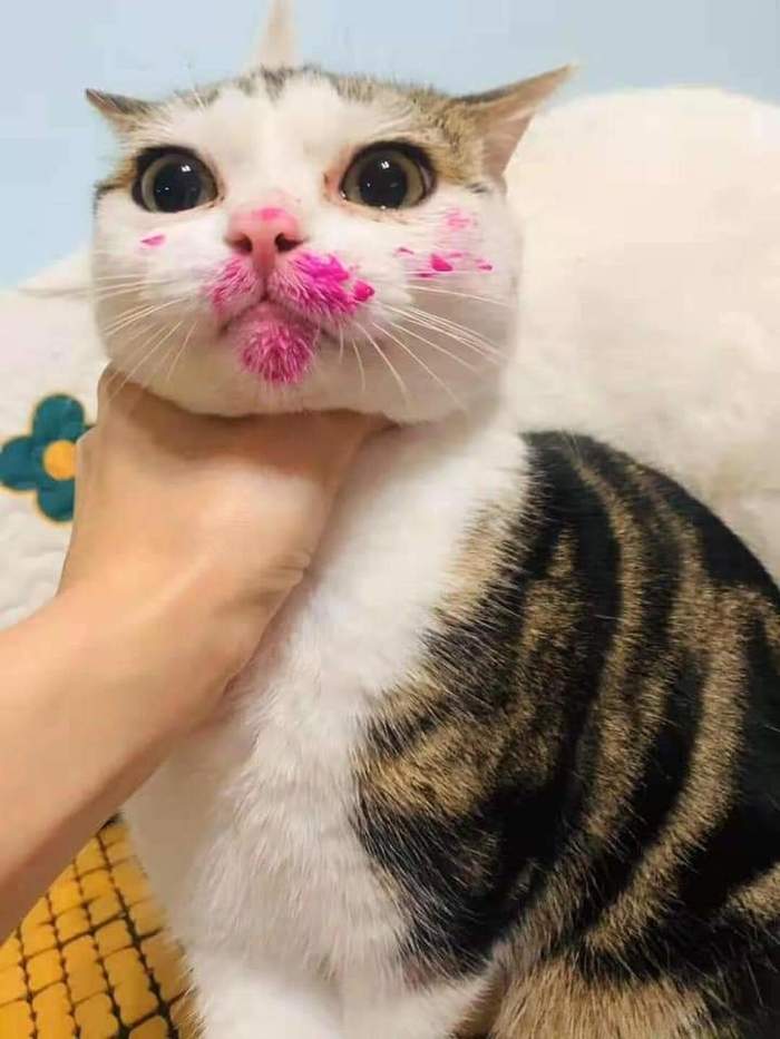   ,     ,  