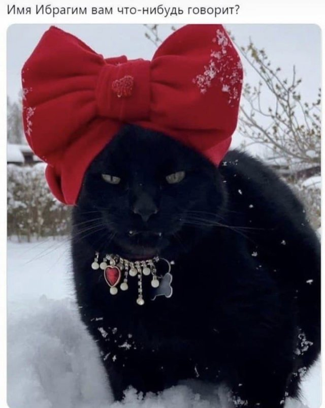       ,   ,     !  ! , , 