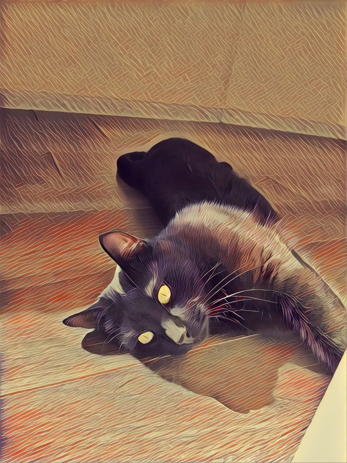    Prisma Prisma, , 