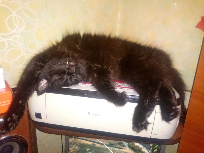 ����� ������ "� �����"...