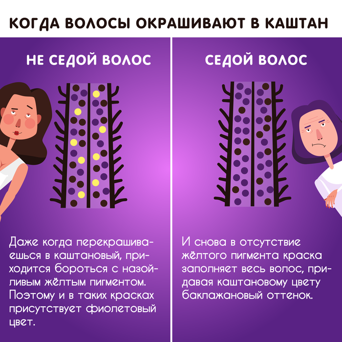 зачем бабушки красят волосы в фиолетовый цвет. Смотреть фото зачем бабушки красят волосы в фиолетовый цвет. Смотреть картинку зачем бабушки красят волосы в фиолетовый цвет. Картинка про зачем бабушки красят волосы в фиолетовый цвет. Фото зачем бабушки красят волосы в фиолетовый цвет