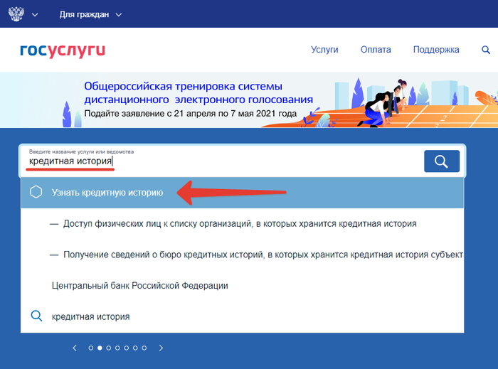 Кредитная история госуслуги через телефон