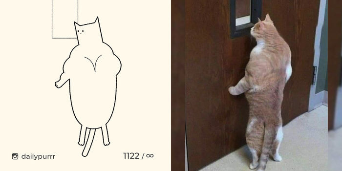 Сегодня пятница, поэтому хотелось бы услышать ваши версии описания рисунка!