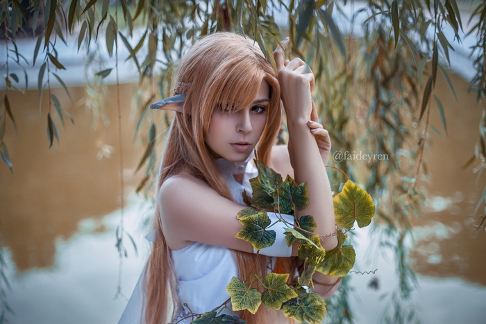    (ALO  Titania) Faid Eyren, , Yuuki asuna, Sword Art Online, , 