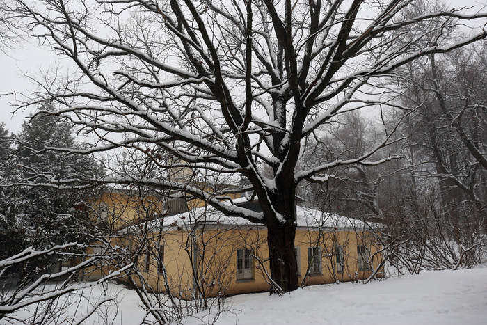 Усадьба Суханово Заброшенное, Усадьба, Видное, Подмосковье, Руины, Фотография, Урбанфото, Урбантуризм, Урбанфакт, Автопутешествие, Московская область, Длиннопост