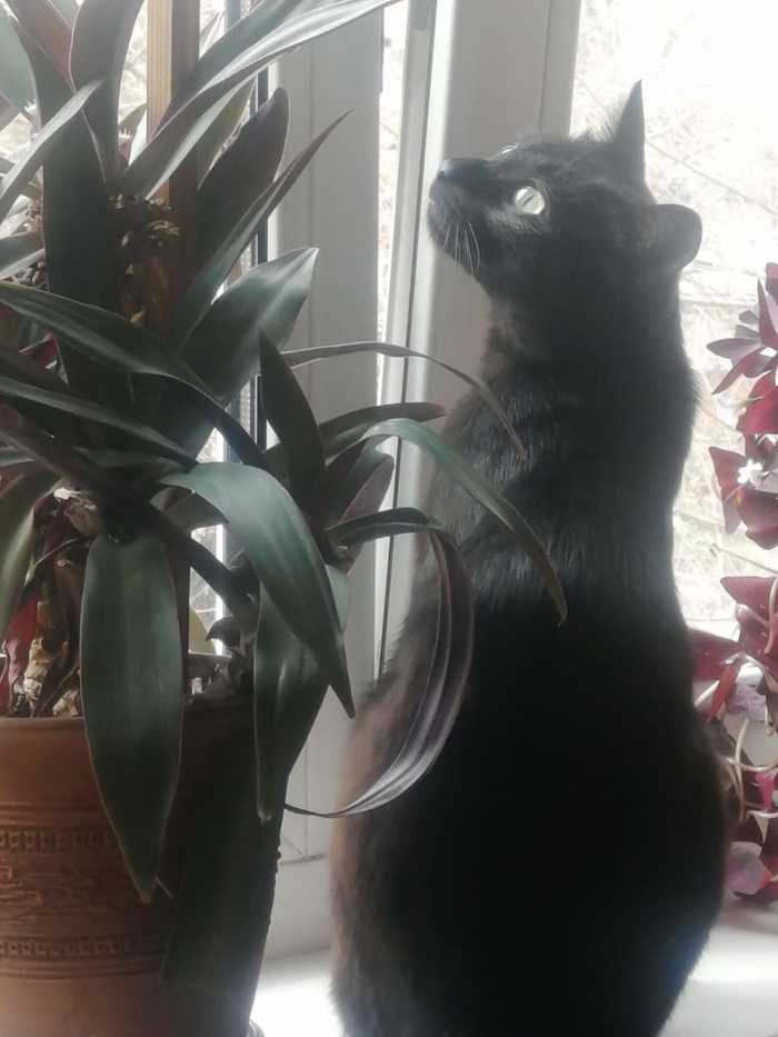 �������