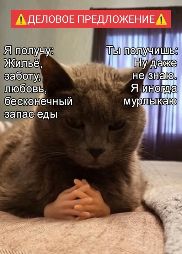 ?  ?    ? ! , , , , 