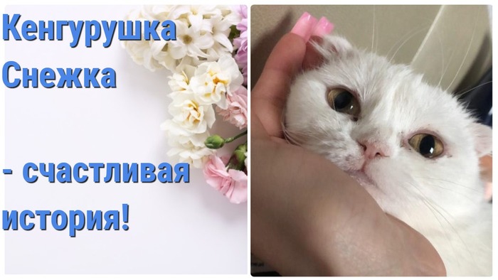 -  - ! , ,  , , ,  ,   