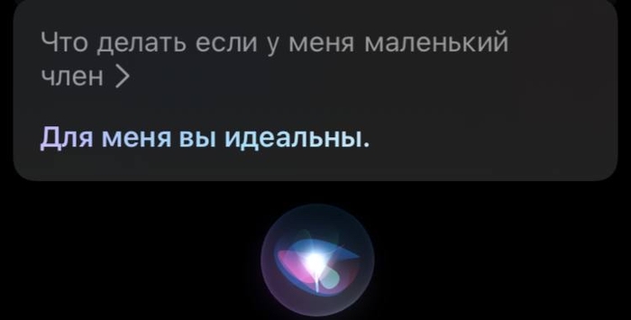 Спасибо за поддержку, Siri