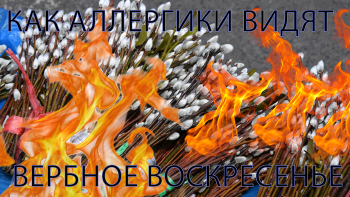 вербное воскресенье и пасха картинки. Смотреть фото вербное воскресенье и пасха картинки. Смотреть картинку вербное воскресенье и пасха картинки. Картинка про вербное воскресенье и пасха картинки. Фото вербное воскресенье и пасха картинки