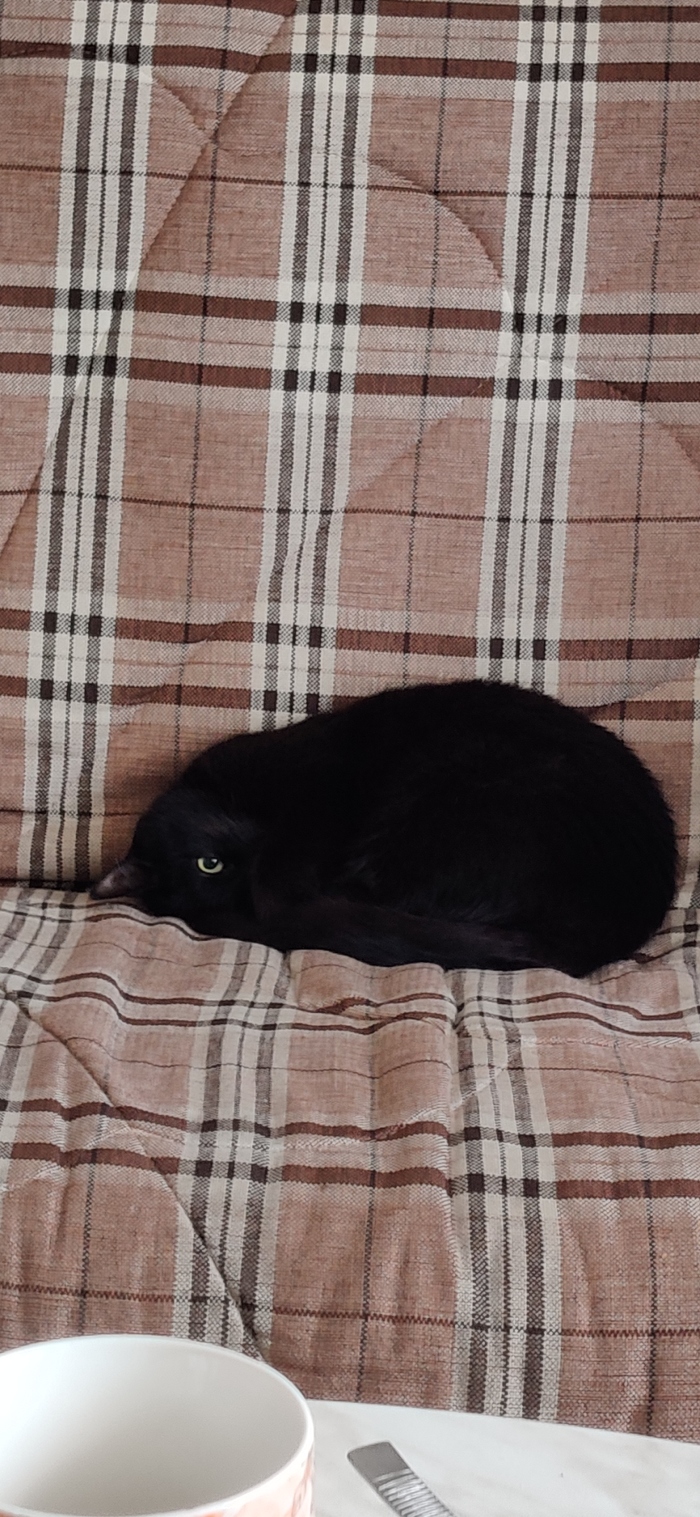 ���������� �� ����� �������