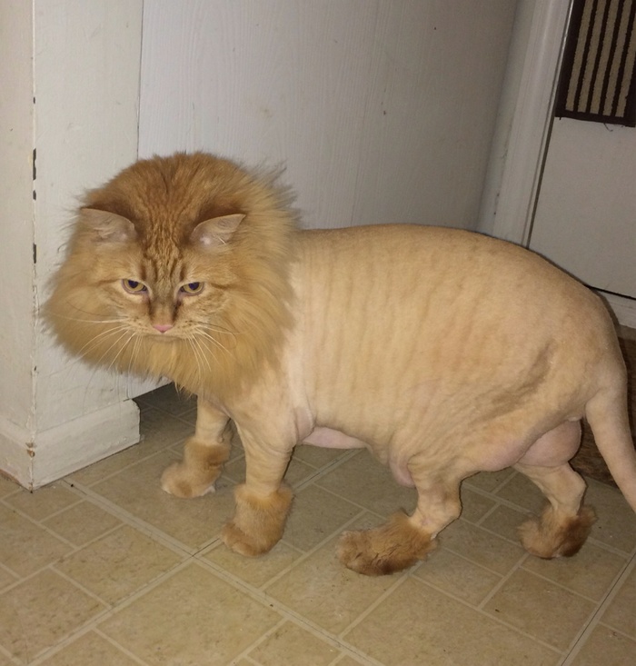 ��������� ���