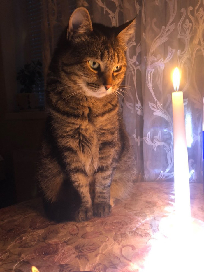 Настало время охренительных историй