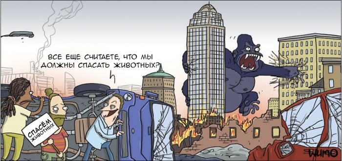 ������ ��������