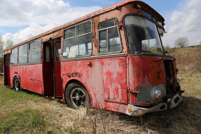 Американские авто в японии