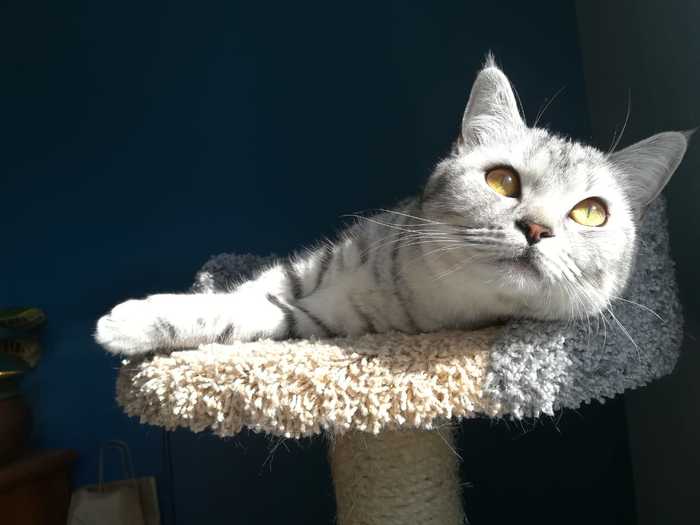 И красивая и талантливая...