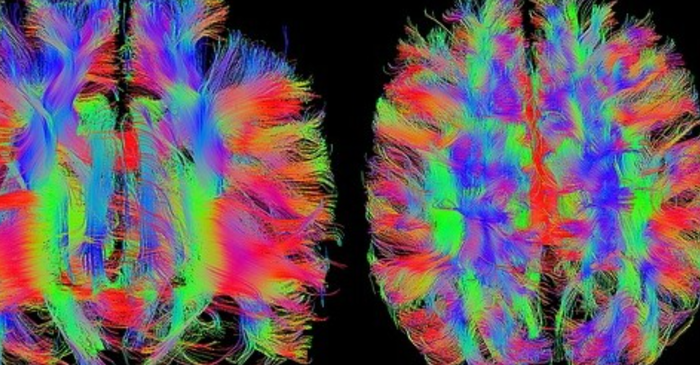 что если бы люди использовали мозг на 100