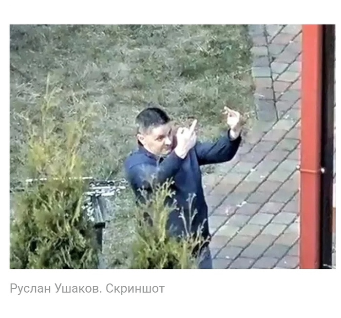 ��������, ���� �...