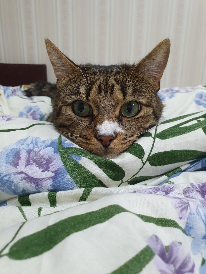 ������� � ���������